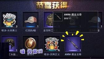 黄金龙骨爆料视频播放大全,揭秘幕后真相与精彩瞬间